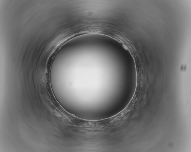 X0000091980338200709061359