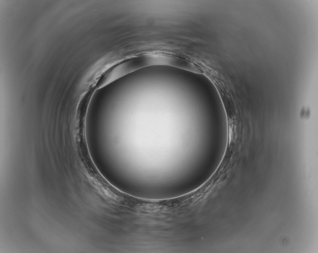 X0000091980339200709061359