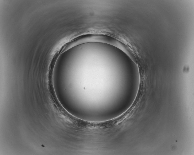 X0000091980340200709061359
