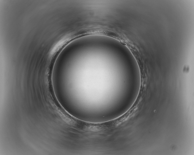 X0000091980341200709061359