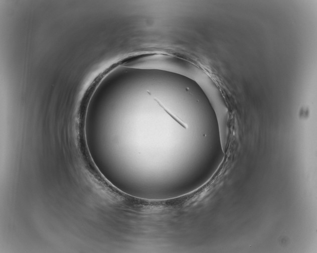 X0000091980342200709061359