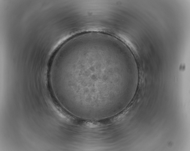 X0000091980346200709061359