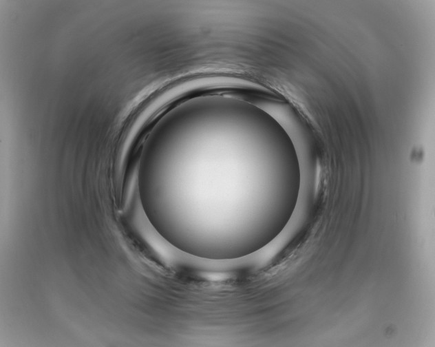 X0000091980348200709061359
