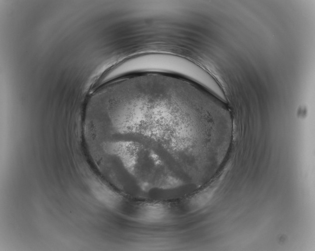 X0000091980349200709061359