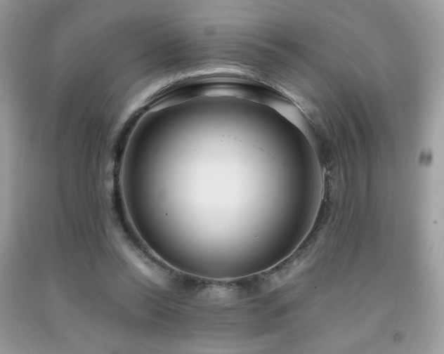 X0000091980350200709061400