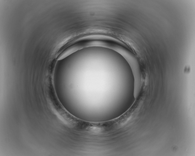X0000091980352200709061400