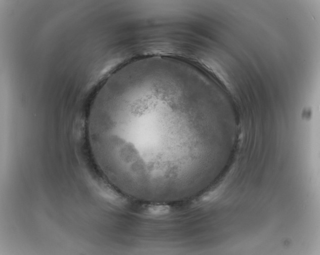 X0000091980355200709061400