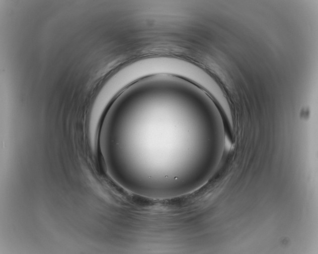X0000091980356200709061400