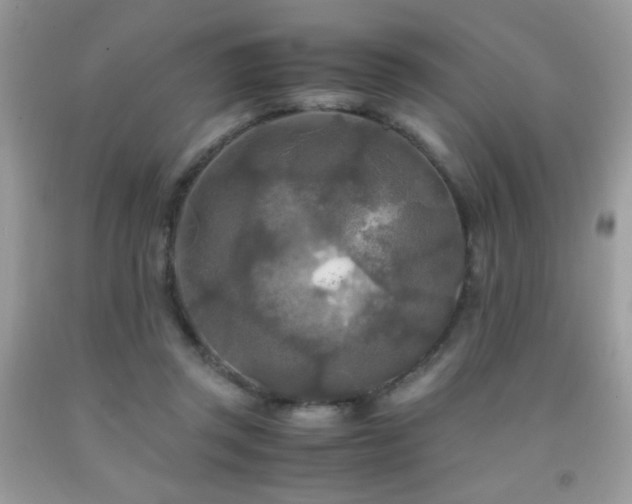 X0000091980357200709061400