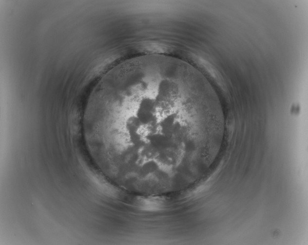 X0000091980359200709061400