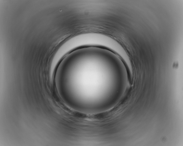 X0000091980360200709061400
