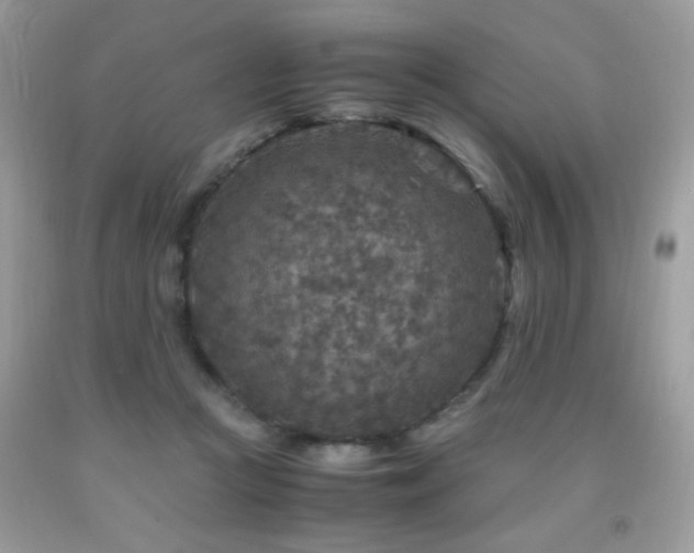 X0000091980361200709061400
