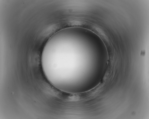 X0000091980362200709061400