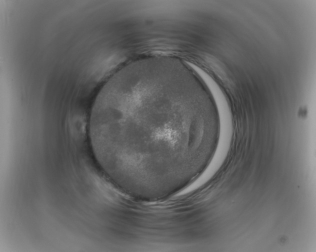 X0000091980363200709061400