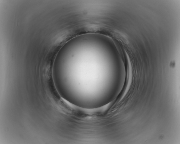 X0000091980364200709061400