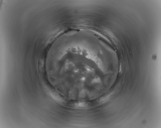 X0000091980365200709061400