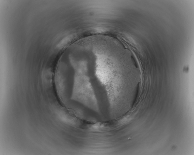 X0000091980366200709061400