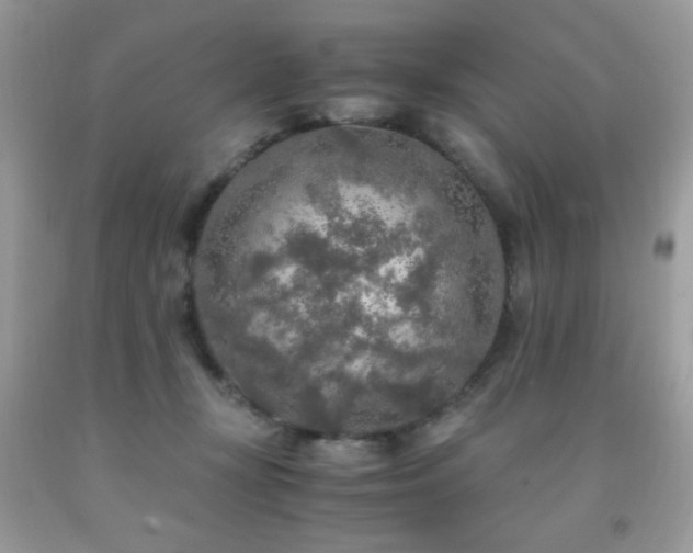 X0000091980367200709061400
