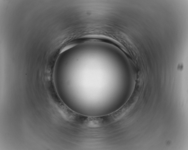 X0000091980368200709061400