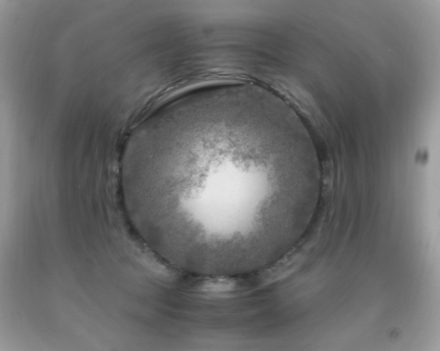 X0000091980369200709061400