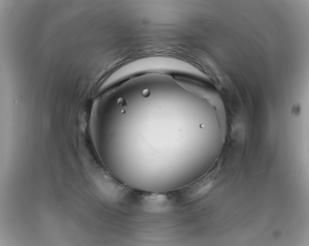 X0000091980374200709061400