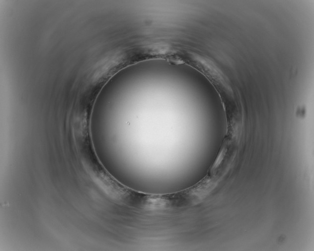 X0000091980376200709061400