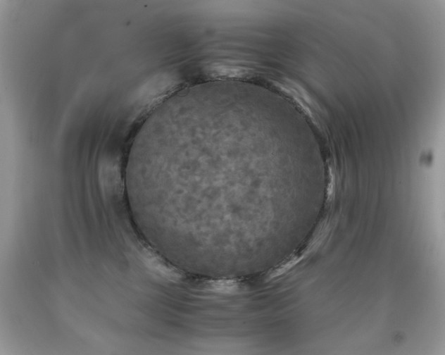 X0000091980377200709061400