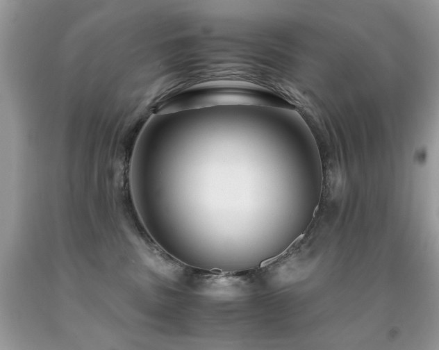 X0000091980379200709061400