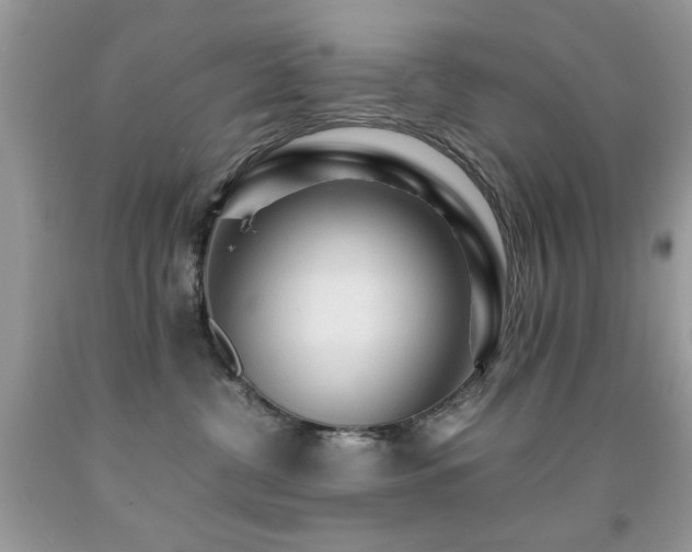 X0000091980380200709061400