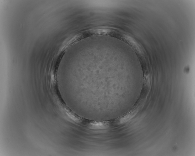 X0000091980381200709061400