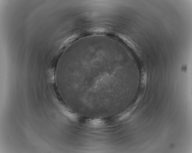 X0000091980383200709061400