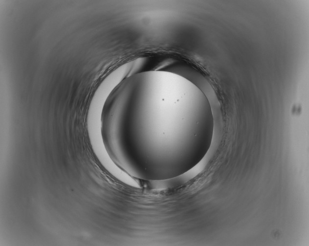 X0000091980384200709061400
