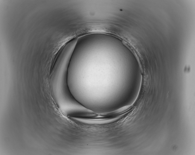 X0000091980385200709061359