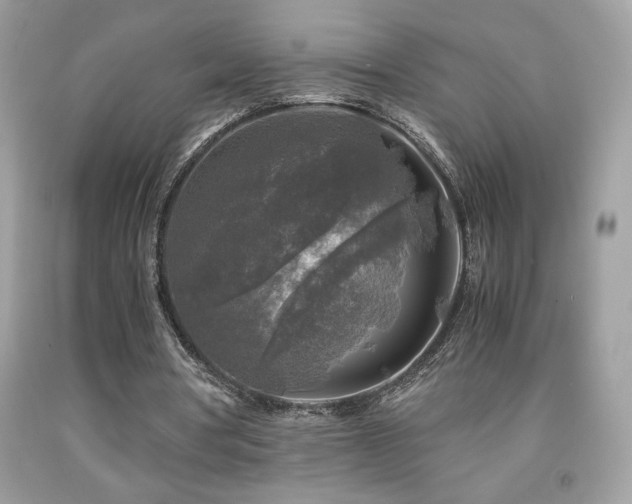 X0000091980386200709061359