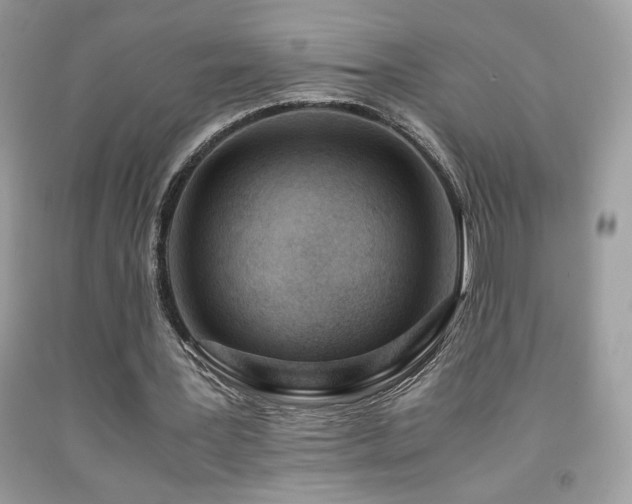 X0000091980387200709061359