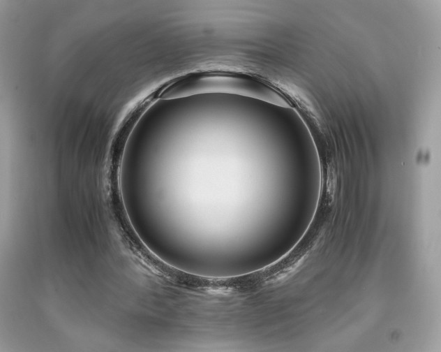 X0000091980388200709061359