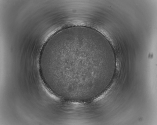 X0000091980390200709061359