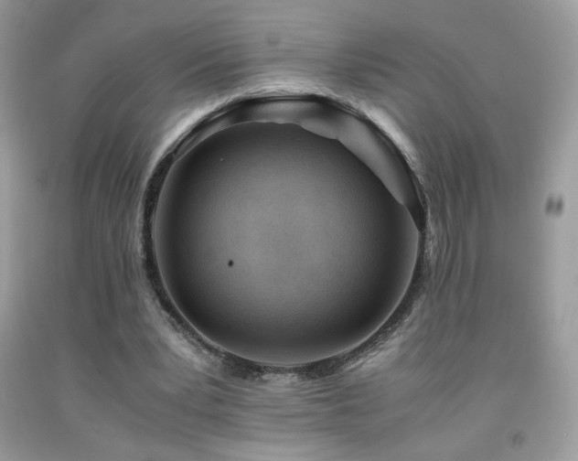 X0000091980391200709061359