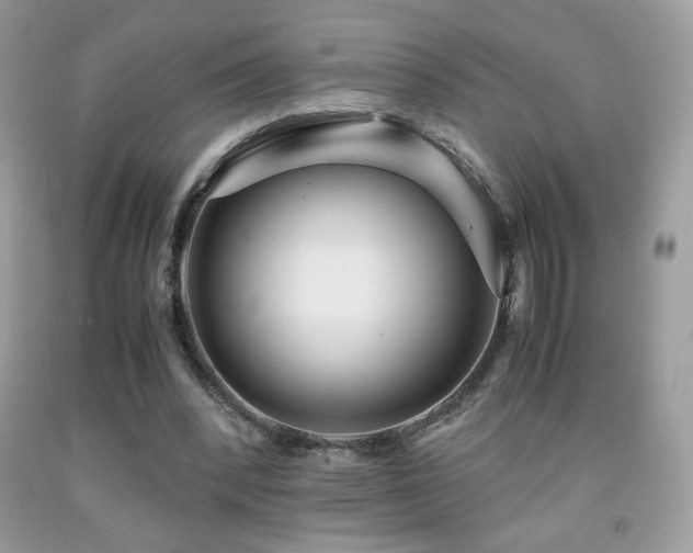 X0000091980392200709061359