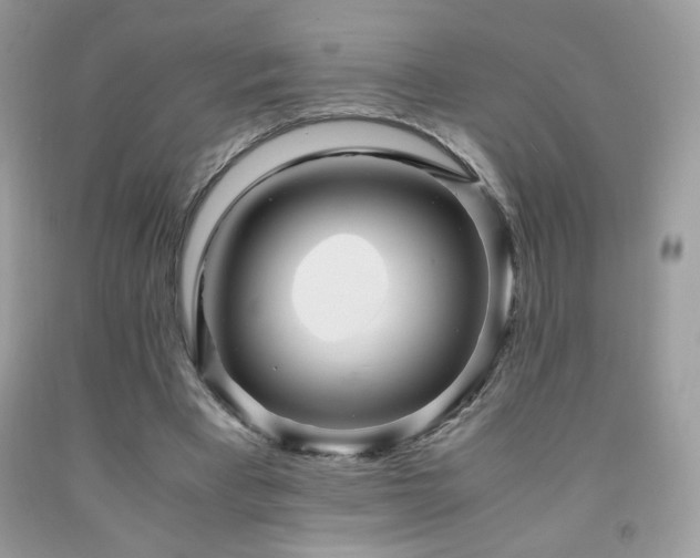 X0000091980393200709061359