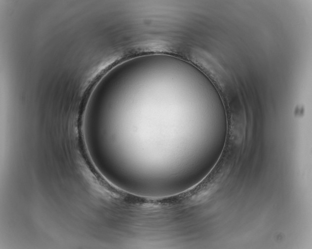 X0000091980394200709061359