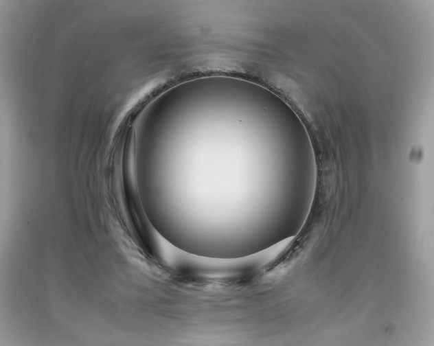 X0000091980395200709061359