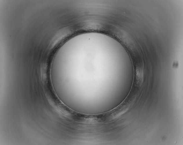 X0000091980396200709061359
