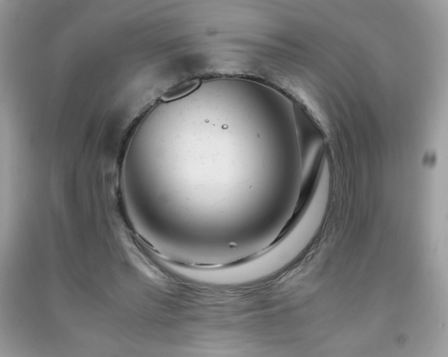 X0000091980397200709061359
