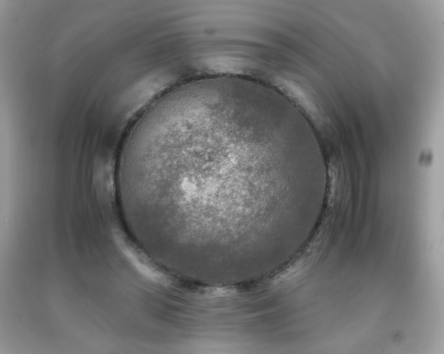 X0000091980398200709061359