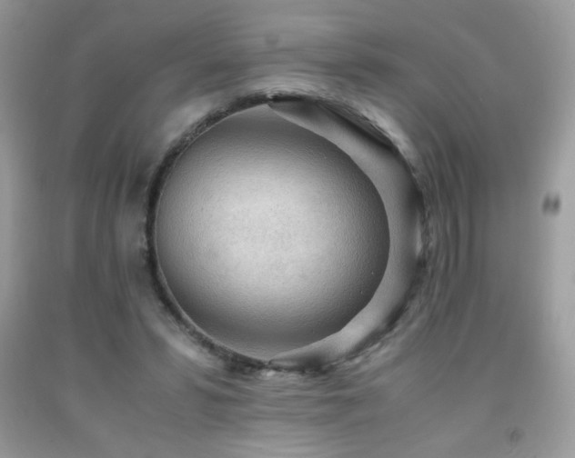 X0000091980399200709061359