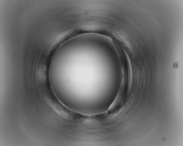 X0000091980400200709061359