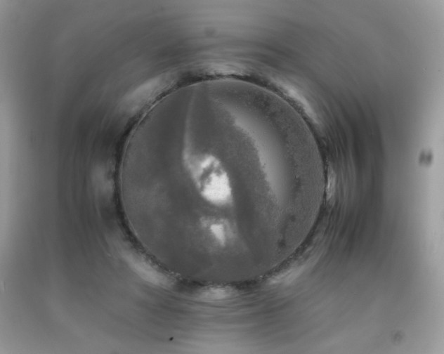 X0000091980402200709061359