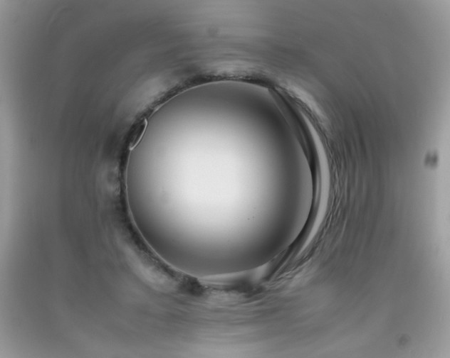 X0000091980403200709061359