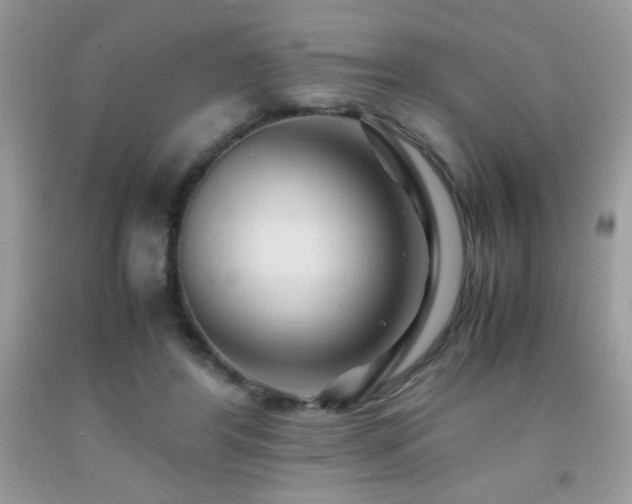 X0000091980404200709061359